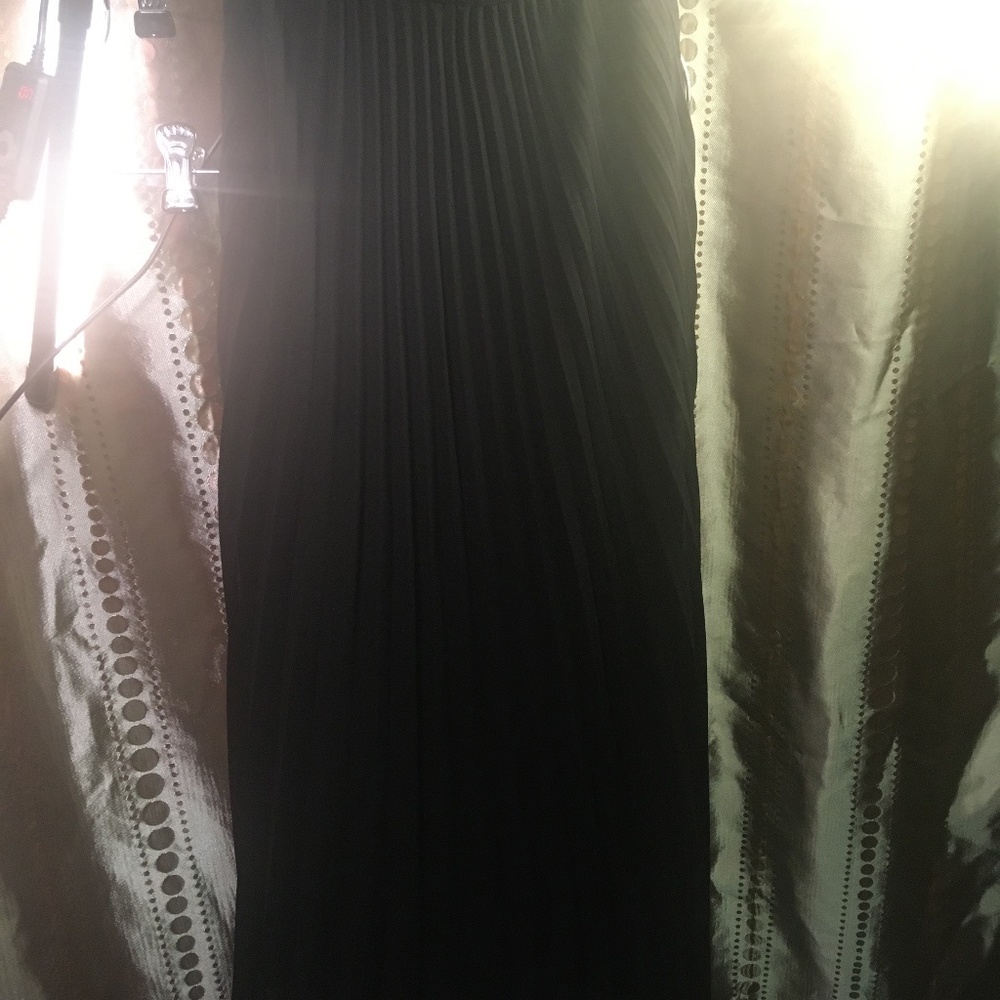 Babaton ripple long skirt double layer